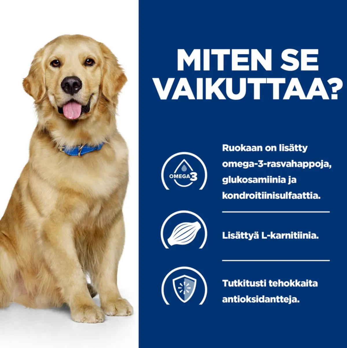 Hill's Prescription Diet Koiran Nivelvaivat|Koiran Eläinlääkäriruoka*Canine j/d Joint Care Reduced Calorie Chicken 2x12 kg
