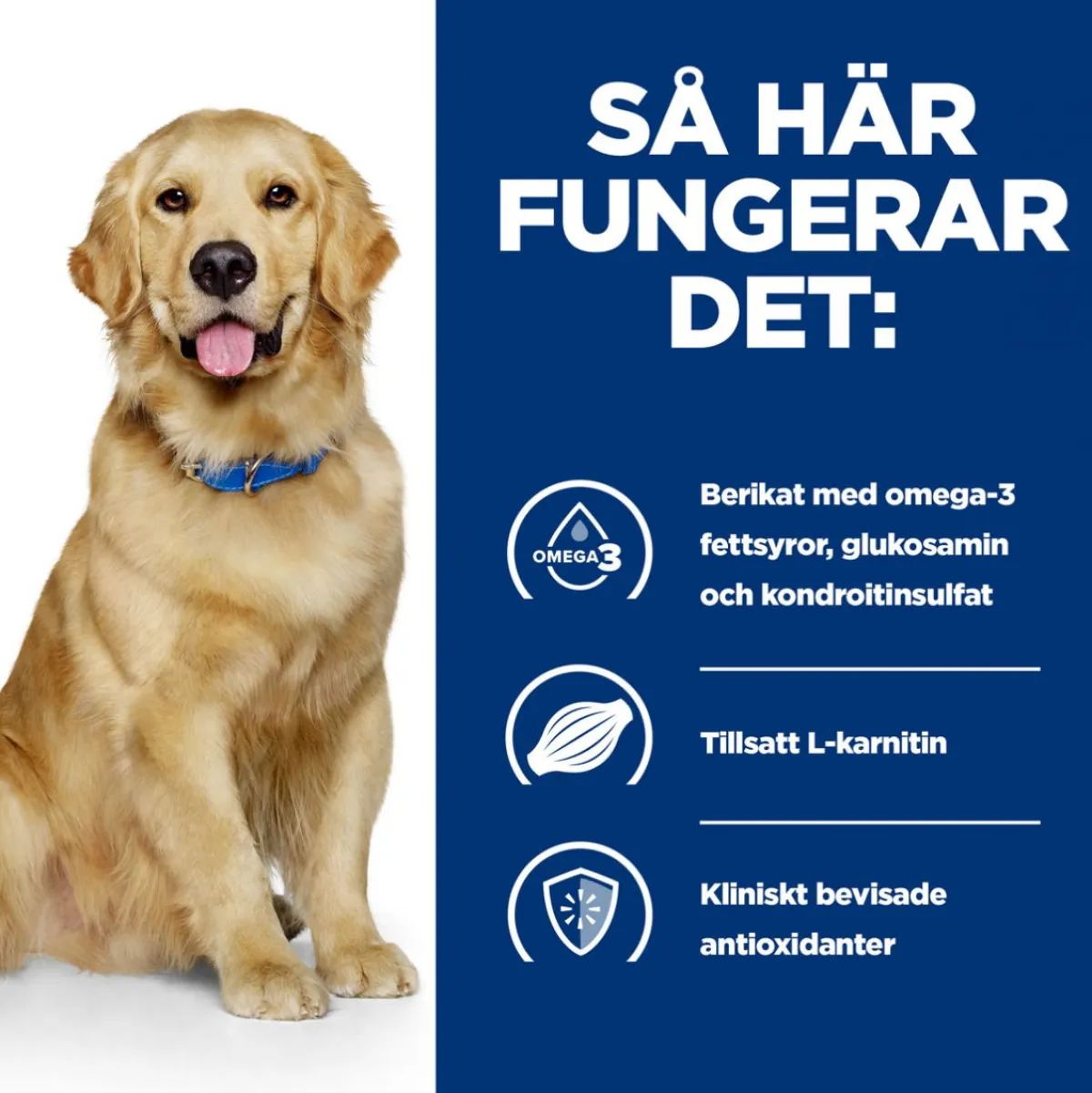 Hill's Prescription Diet Koiran Nivelvaivat|Koiran Eläinlääkäriruoka*Canine j/d Joint Care Reduced Calorie Chicken 2x12 kg