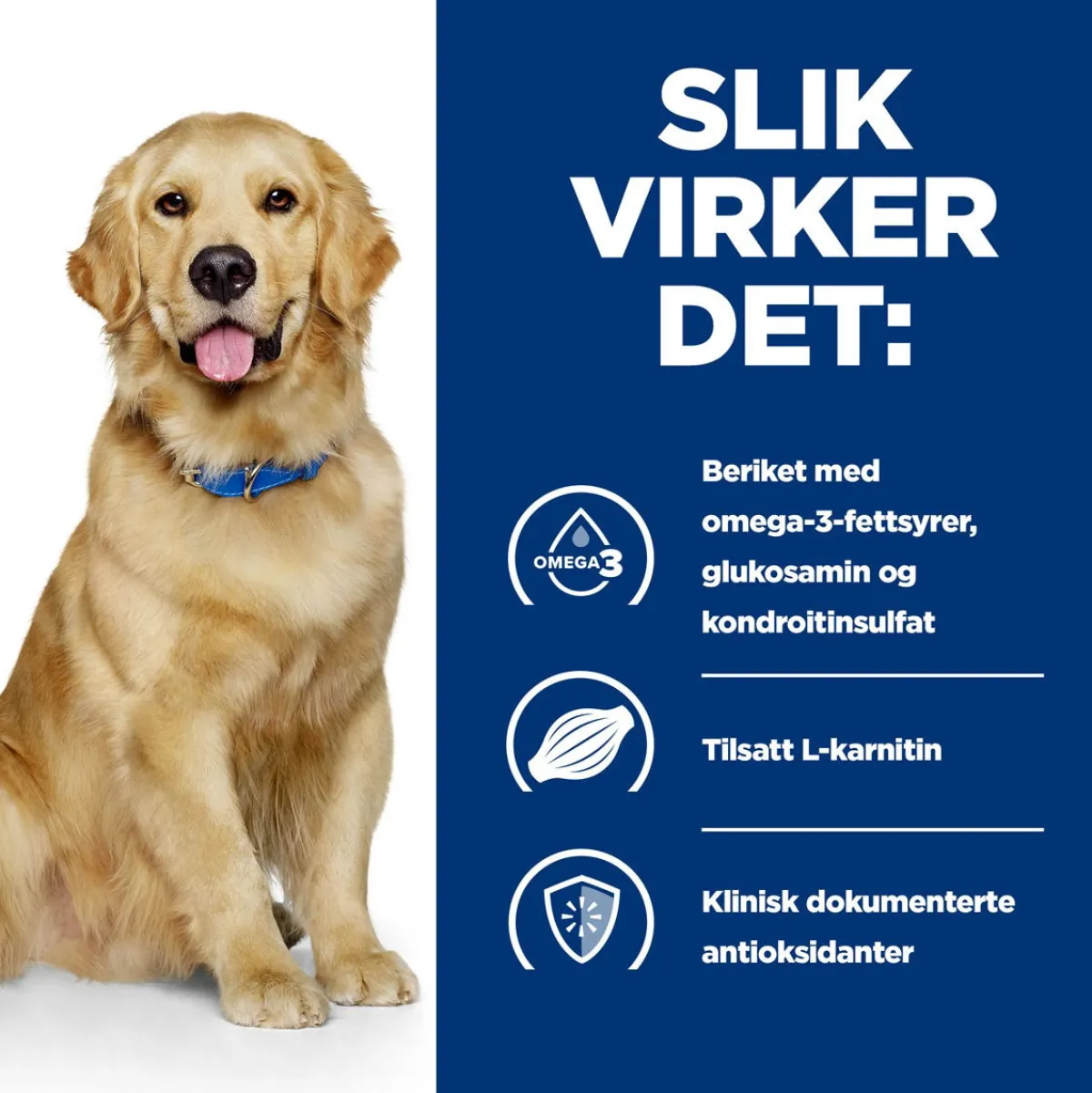 Hill's Prescription Diet Koiran Nivelvaivat|Koiran Eläinlääkäriruoka*Canine j/d Joint Care Reduced Calorie Chicken 2x12 kg