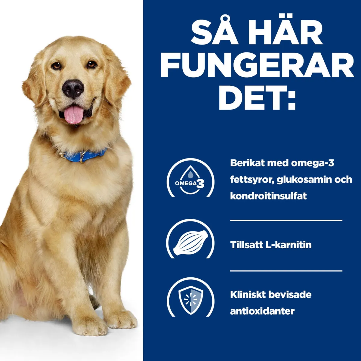 Hill's Prescription Diet Koiran Nivelvaivat|Koiran Eläinlääkäriruoka*Canine j/d Mobility Chicken 2x12 kg