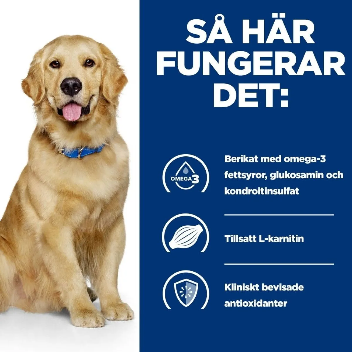 Hill's Prescription Diet Koiran Nivelvaivat|Koiran Eläinlääkäriruoka*Canine j/d Mobility Chicken 2x12 kg