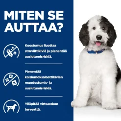 Hill's Prescription Diet Koiran Virtsatievaivat|Koiran Eläinlääkäriruoka*Canine c/d Multicare Chicken 370 g