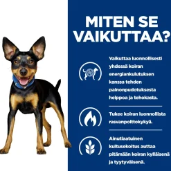 Hill's Prescription Diet Koiran Eläinlääkäriruoka|Koiran Ylipaino*Canine Metabolic Chicken & Vegetables 156 g