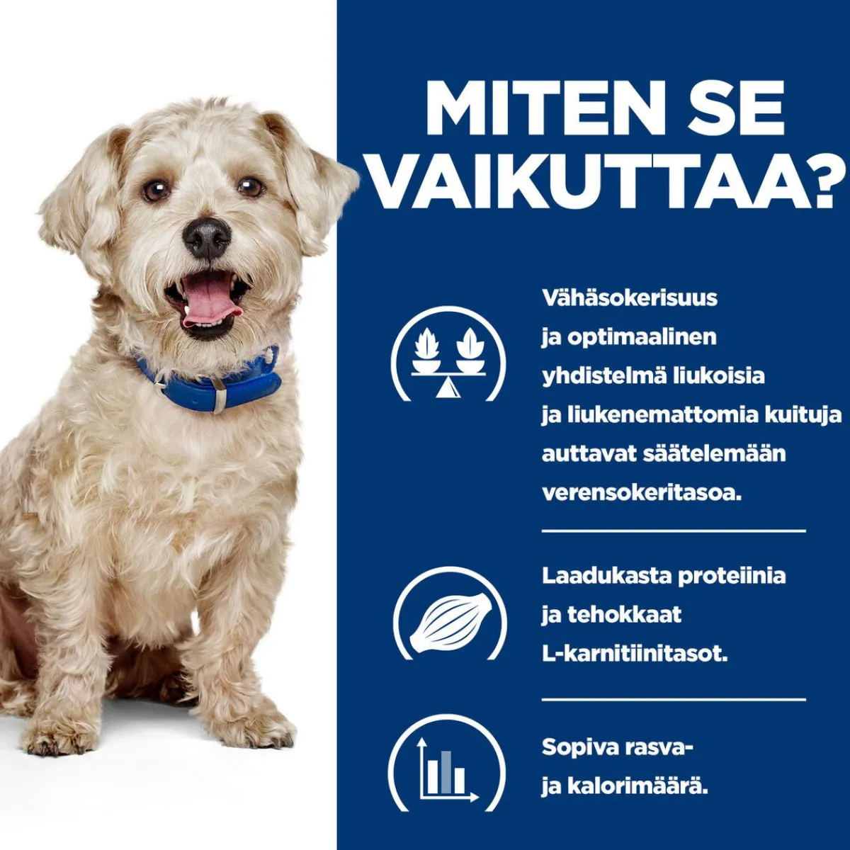 Hill's Prescription Diet Koiran Diabetes|Koiran Eläinlääkäriruoka*Canine Diabetes Care w/d 370 g