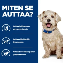 Hill's Prescription Diet Koiran Diabetes|Koiran Eläinlääkäriruoka*Canine Diabetes Care w/d 370 g