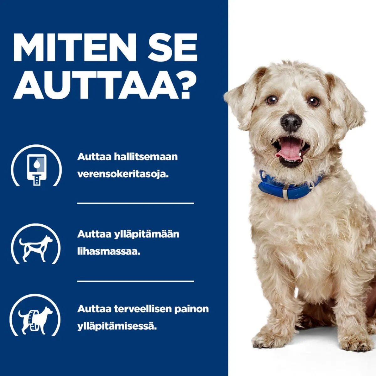 Hill's Prescription Diet Koiran Diabetes|Koiran Eläinlääkäriruoka*Canine Diabetes Care w/d 370 g