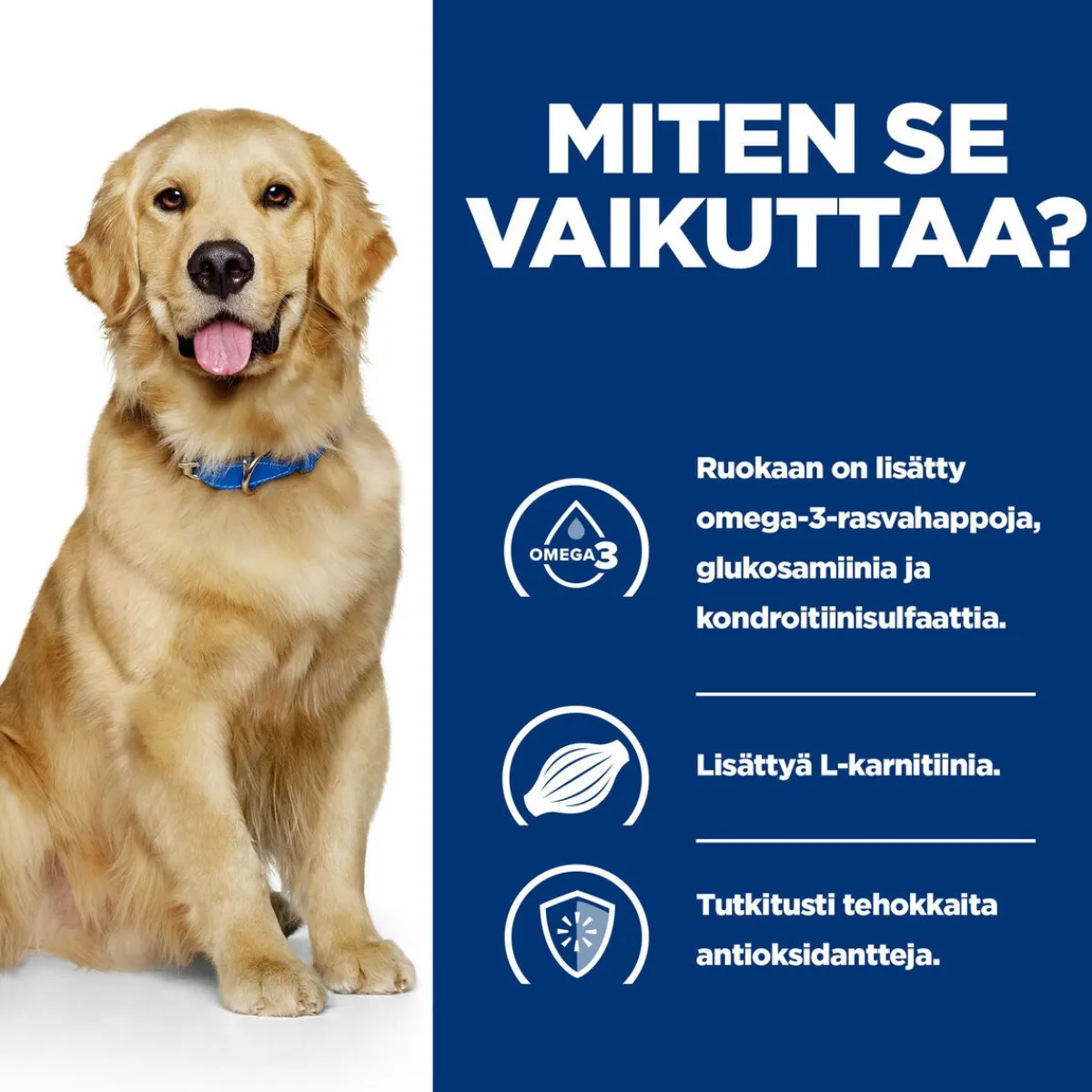 Hill's Prescription Diet Koiran Nivelvaivat|Koiran Eläinlääkäriruoka*Canine j/d Mobility 370 g