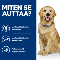 Hill's Prescription Diet Koiran Nivelvaivat|Koiran Eläinlääkäriruoka*Canine j/d Mobility 370 g