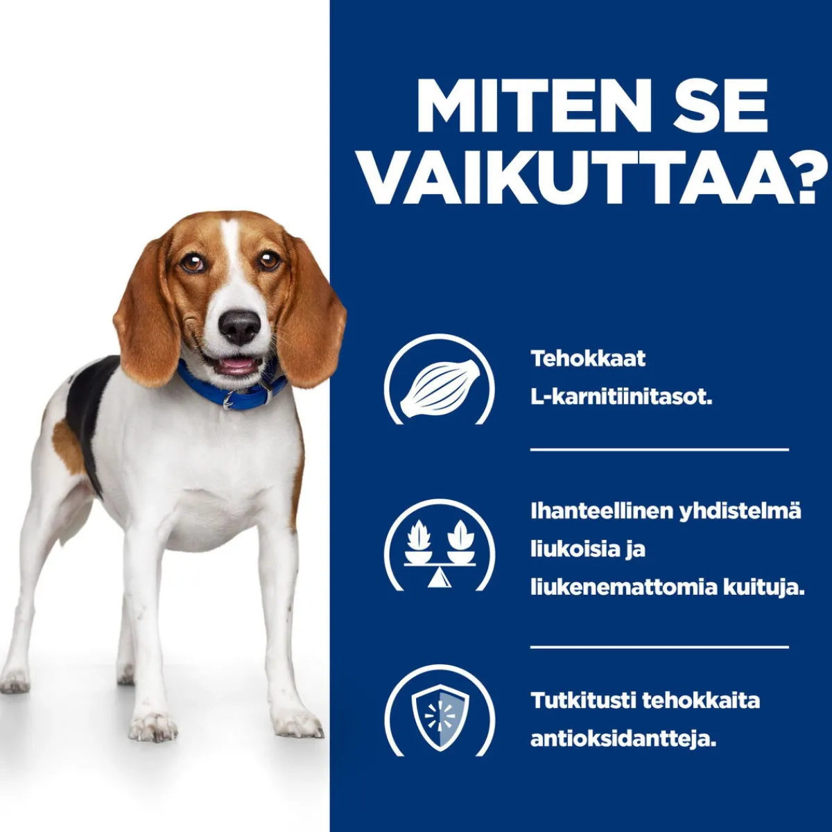Hill's Prescription Diet Koiran Eläinlääkäriruoka|Koiran Ylipaino*Canine r/d Weight Loss 350 g