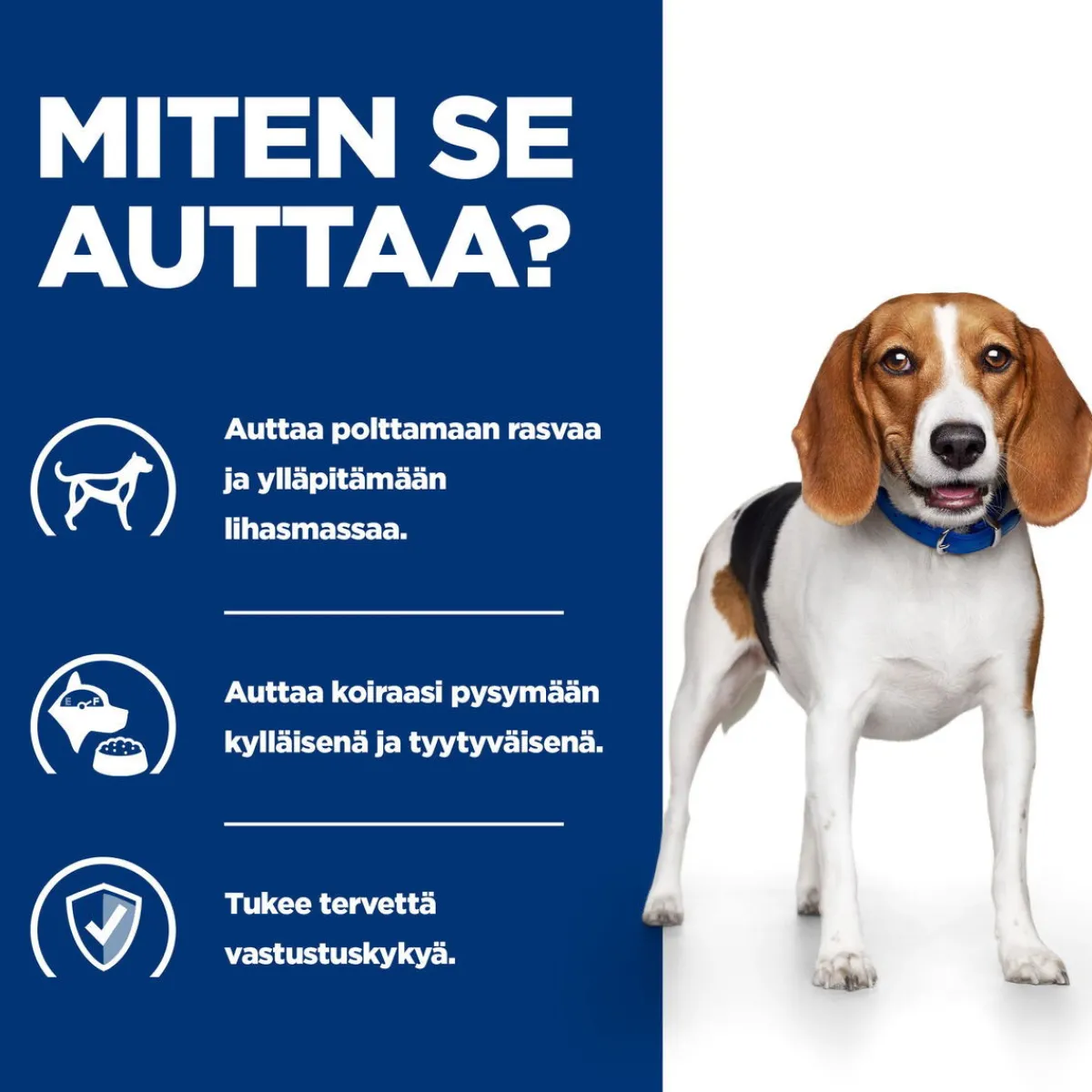 Hill's Prescription Diet Koiran Eläinlääkäriruoka|Koiran Ylipaino*Canine r/d Weight Loss 350 g