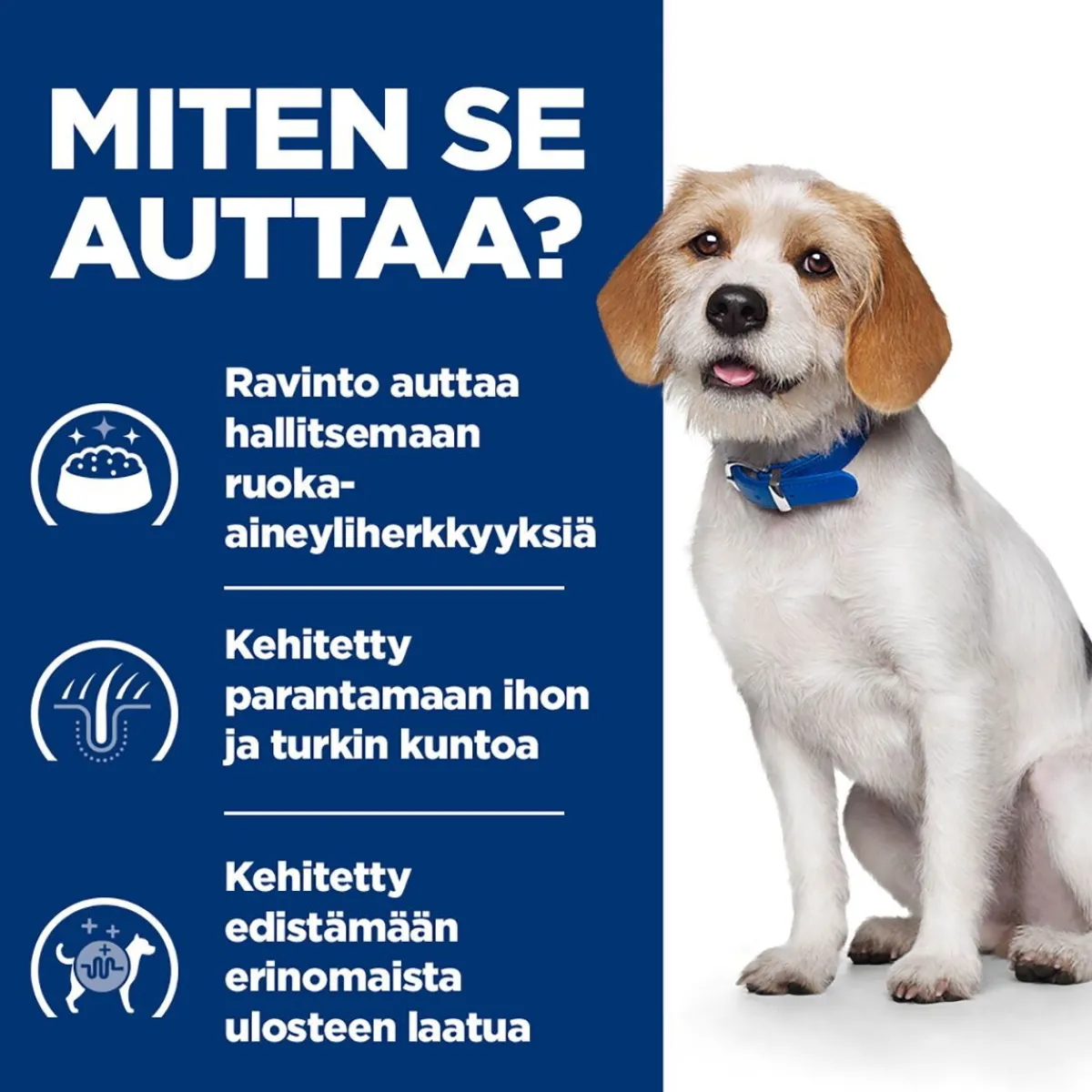 Hill's Prescription Diet Koiran Allergiat|Koiran Eläinlääkäriruoka*dog z/d Low Fat Hydrolysed Soy