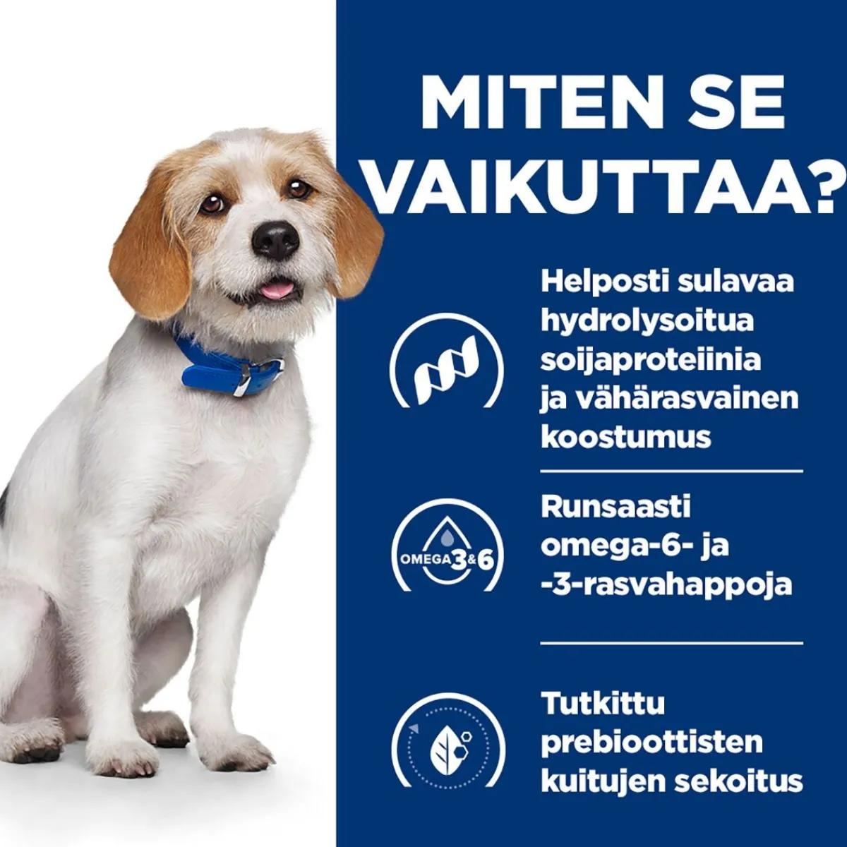 Hill's Prescription Diet Koiran Allergiat|Koiran Eläinlääkäriruoka*dog z/d Low Fat Hydrolysed Soy
