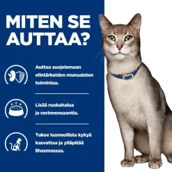 Hill's Prescription Diet Kissan Erikoisruoka|Kissan Munuaisten Vajaatoiminta*Feline k/d Chicken 156 g