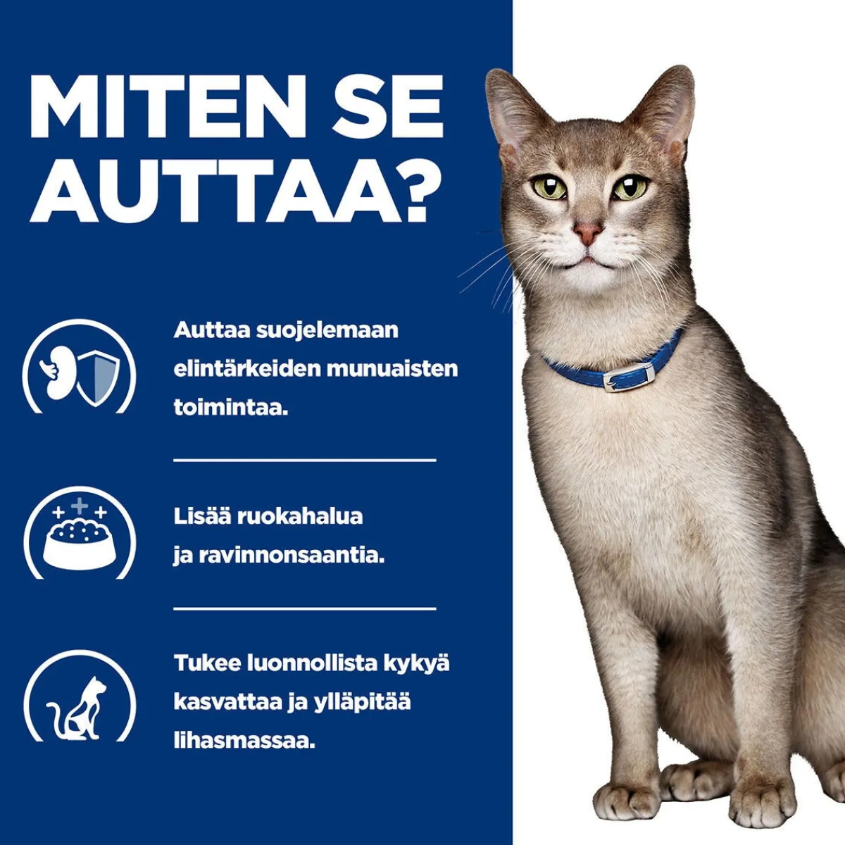Hill's Prescription Diet Kissan Erikoisruoka|Kissan Munuaisten Vajaatoiminta*Feline k/d Kidney Care Tuna