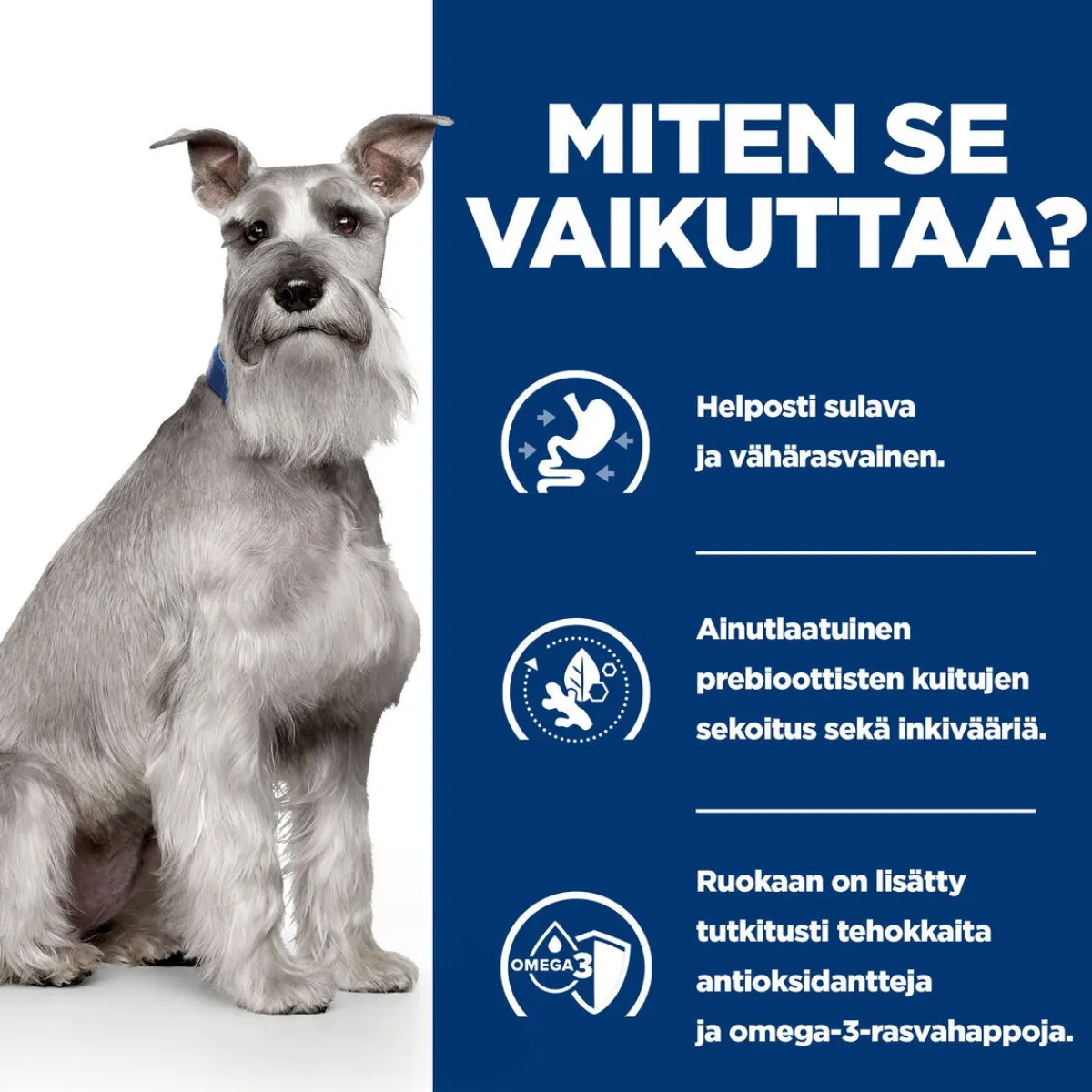 Hill's Prescription Diet Koiran Eläinlääkäriruoka|Koiran Suolistosairaudet*i/d Digestive Care Low Fat
