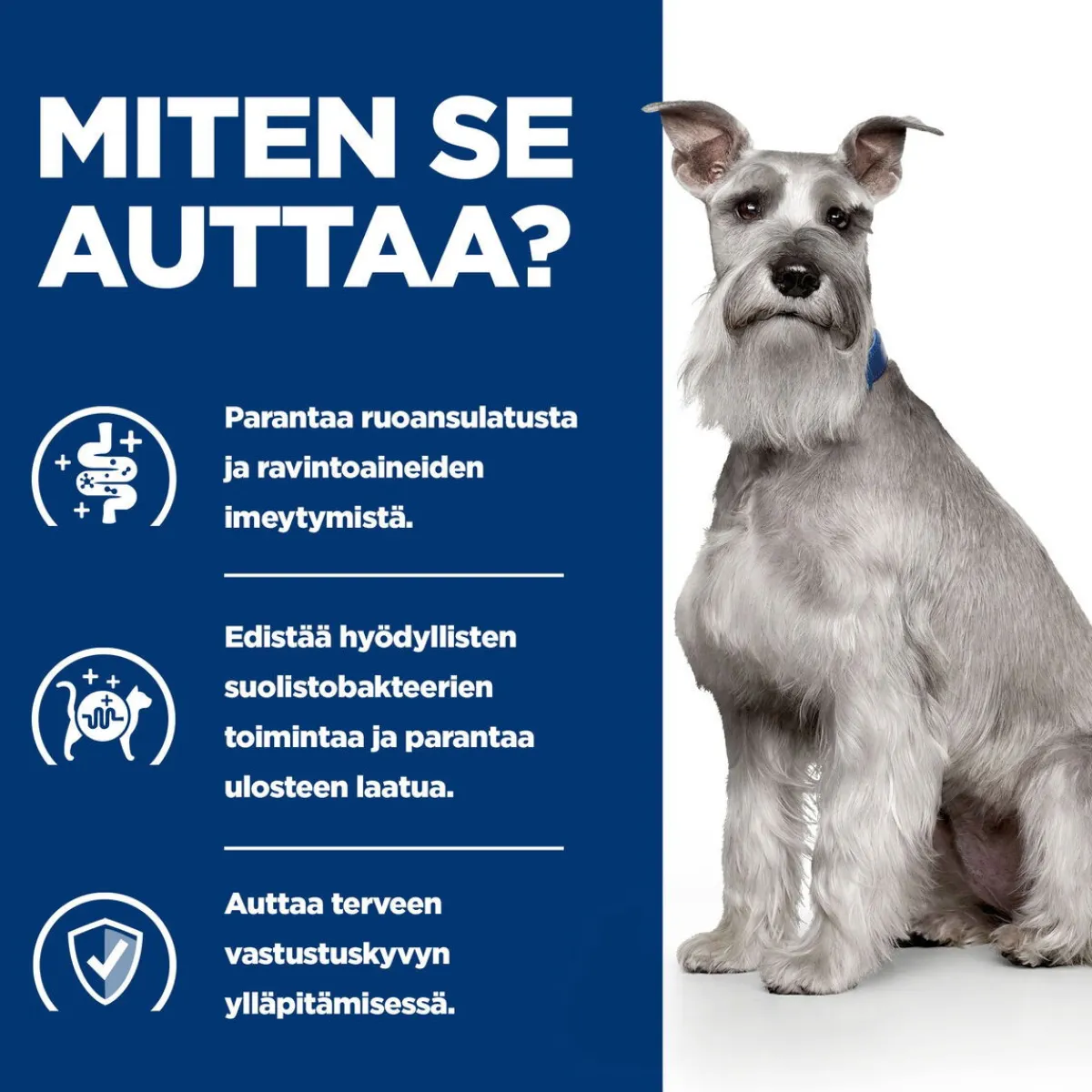 Hill's Prescription Diet Koiran Eläinlääkäriruoka|Koiran Suolistosairaudet*i/d Digestive Care Low Fat
