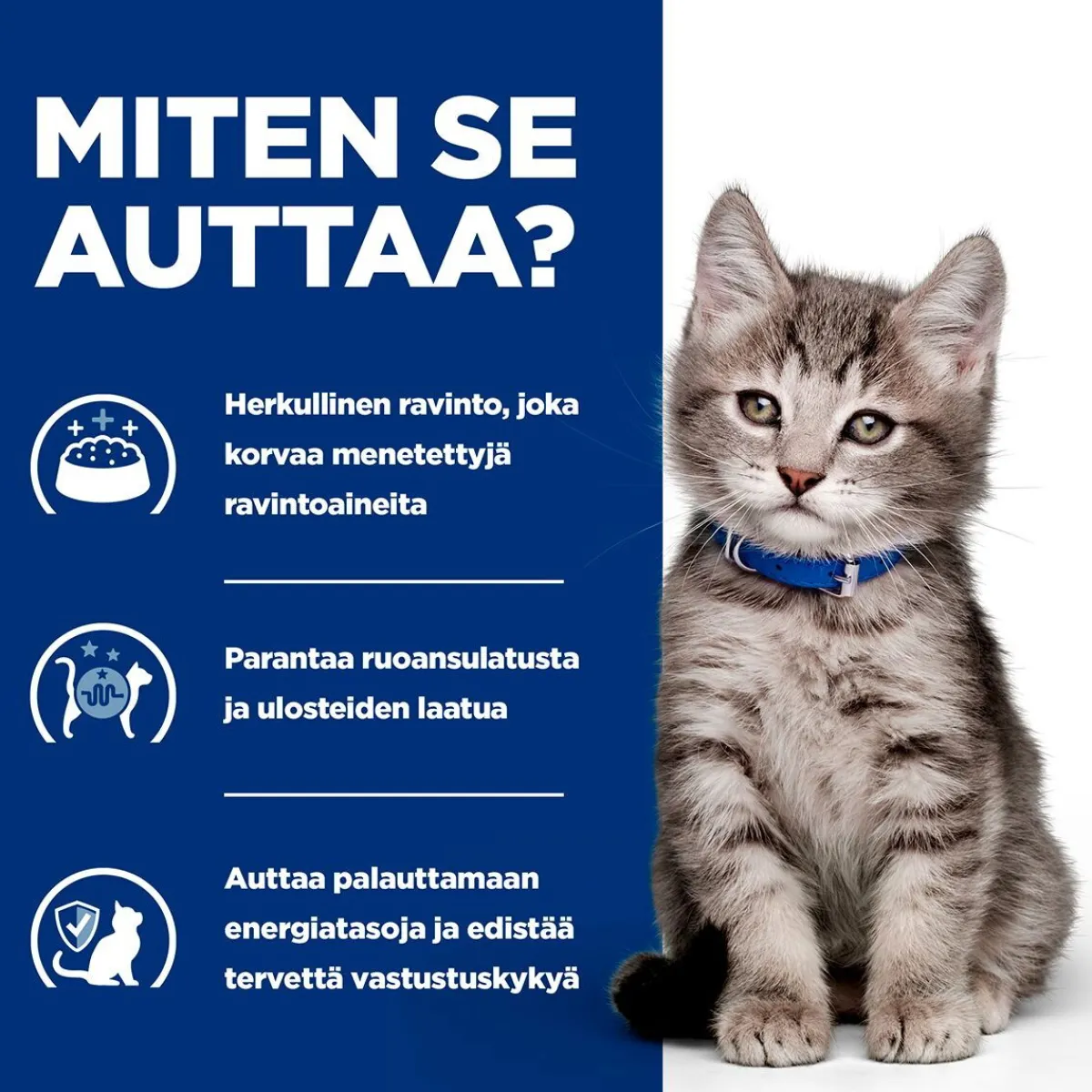 Hill's Prescription Diet Kissan Suolistosairaudet|Kissan Erikoisruoka*Kitten i/d