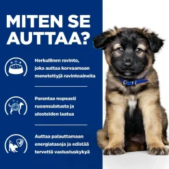 Hill's Prescription Diet Koiran Eläinlääkäriruoka|Koiran Suolistosairaudet*Puppy i/d