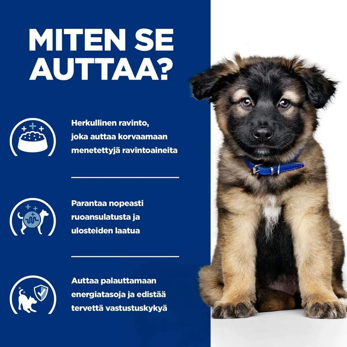 Hill's Prescription Diet Koiran Eläinlääkäriruoka|Koiran Suolistosairaudet*Puppy i/d wet