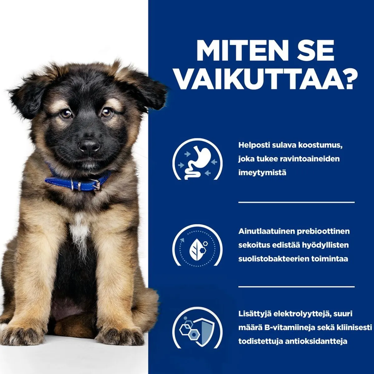 Hill's Prescription Diet Koiran Eläinlääkäriruoka|Koiran Suolistosairaudet*Puppy i/d wet