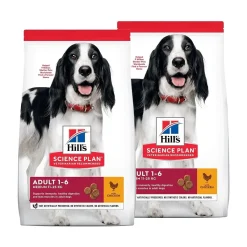 Hill's Koiran Kuivaruoka*Hills Science Plan Canine Adult Chicken