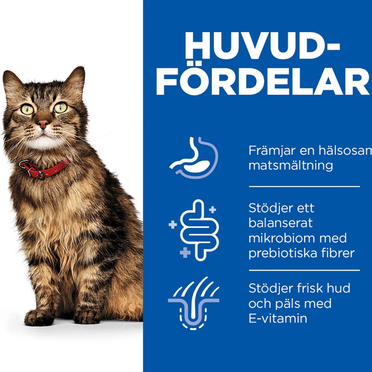 Hill's Kissan Märkäruoka|Kissan Erikoisruoat*Science Plan Cat Adult Sensitive Stomach & Skin Turkey 12x85g