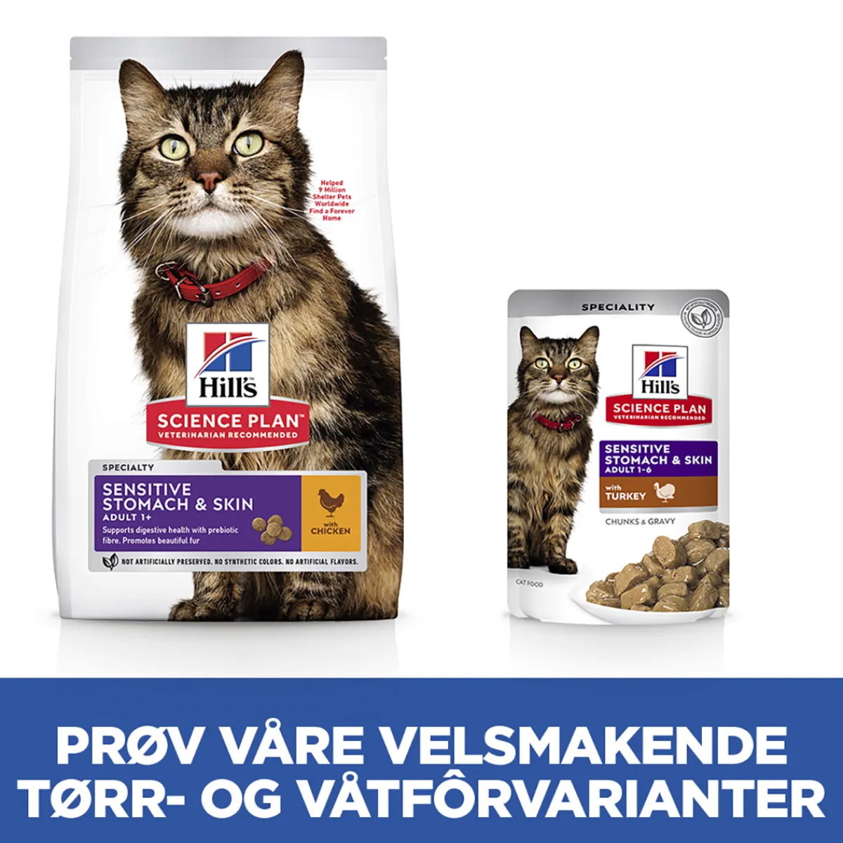 Hill's Kissan Märkäruoka|Kissan Erikoisruoat*Science Plan Cat Adult Sensitive Stomach & Skin Turkey 12x85g