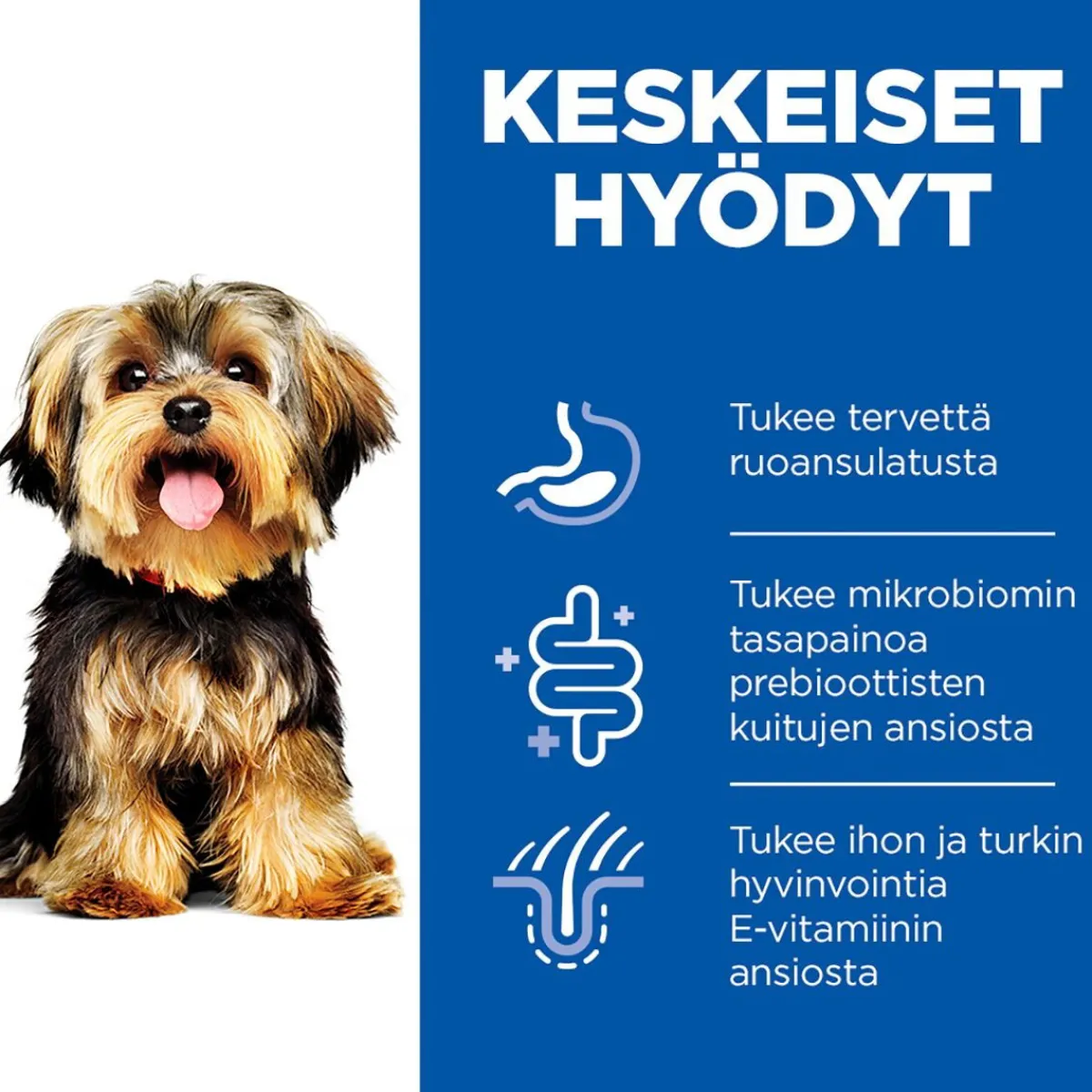 Hill's Koiranruoat Erityistapeisiin|Koiran Märkäruoka Ja Makkarat*Science Plan Dog Sensitive Stomach & Skin Mousse Small & Mini Turkey 200g
