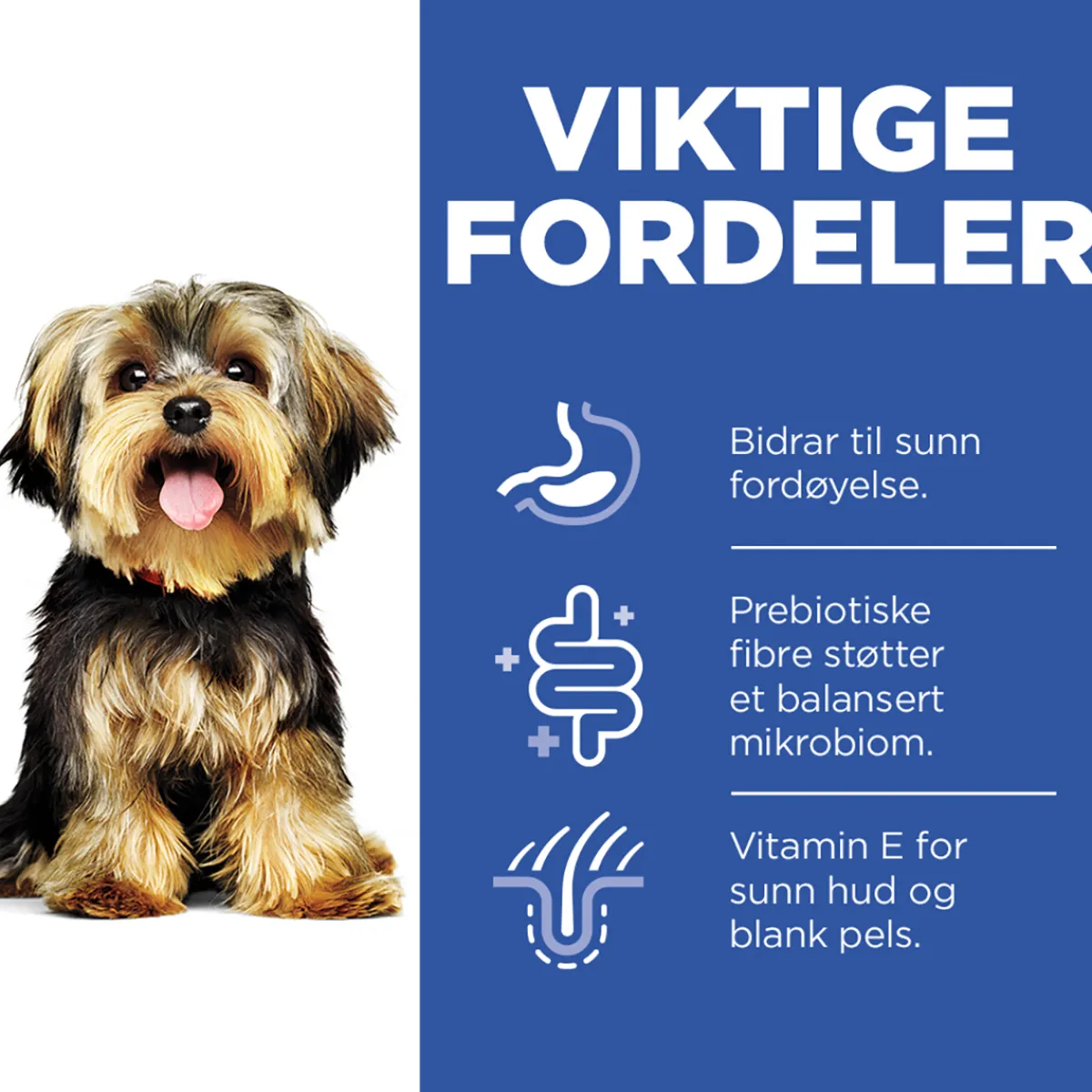 Hill's Koiranruoat Erityistapeisiin|Koiran Märkäruoka Ja Makkarat*Science Plan Dog Sensitive Stomach & Skin Mousse Small & Mini Turkey 200g