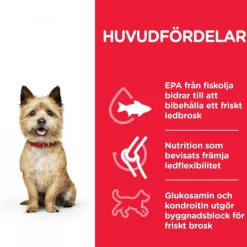 Hill's Koiran Kuivaruoka|Tarjoukset Koirille*SP Adult Healthy Mobility Small & Mini