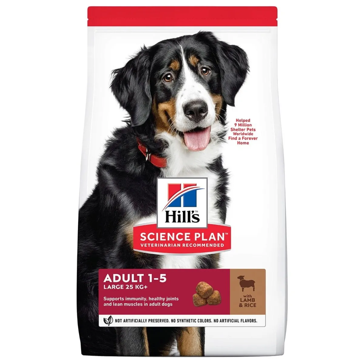Hill's Koiran Kuivaruoka*SP Adult Large Breed Lamb & Rice 14 kg
