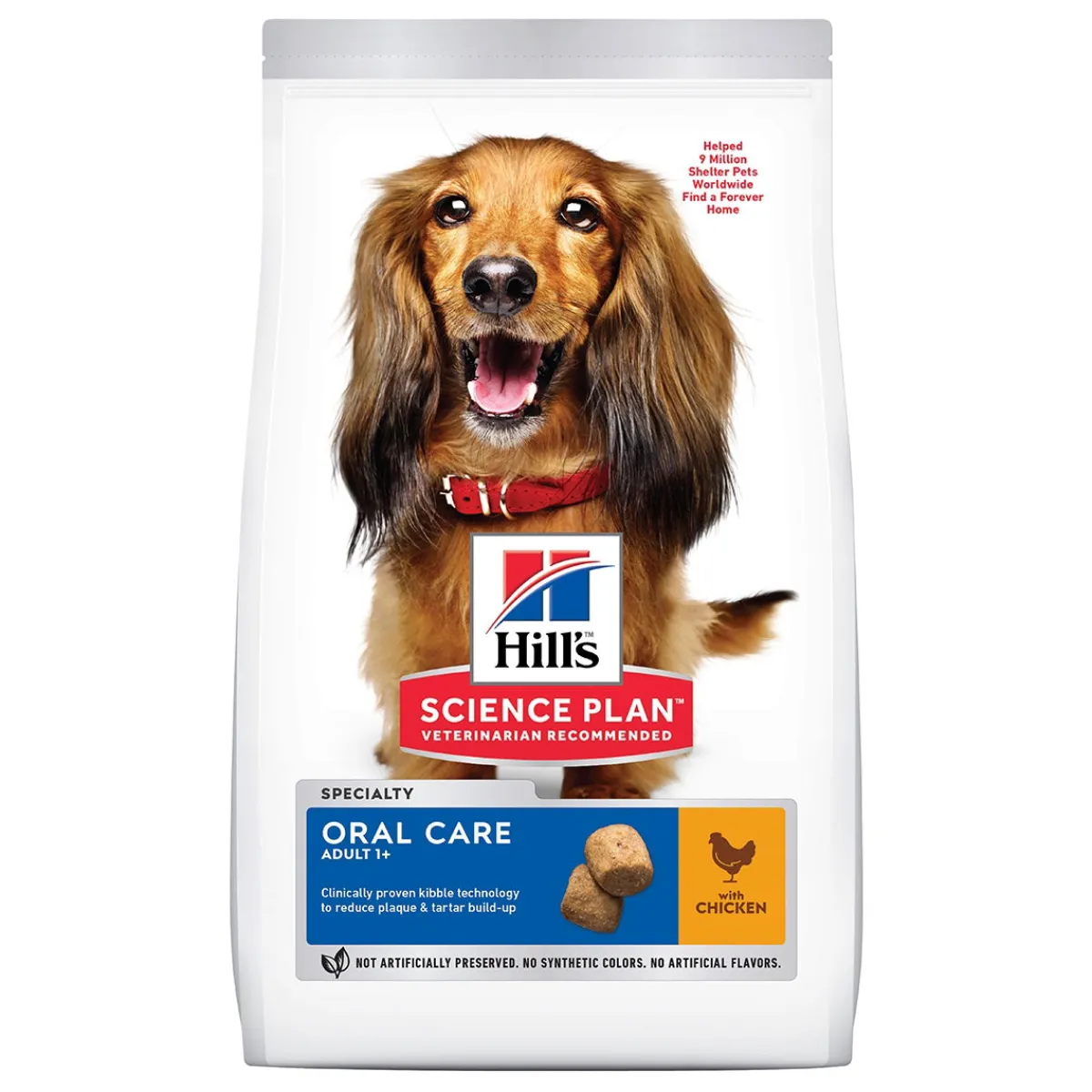 Hill's Koiran Kuivaruoka*SP Adult Oral Care