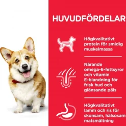 Hill's Koiran Kuivaruoka|Tarjoukset Koirille*SP Adult Small&Mini Lamb