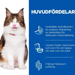 Hill's Kissan Märkäruoka*SP Feline Digestion Adult 1+ 12 x 85 g