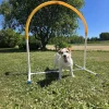 PetEasy Agility|Agility*Hoopers Hoop