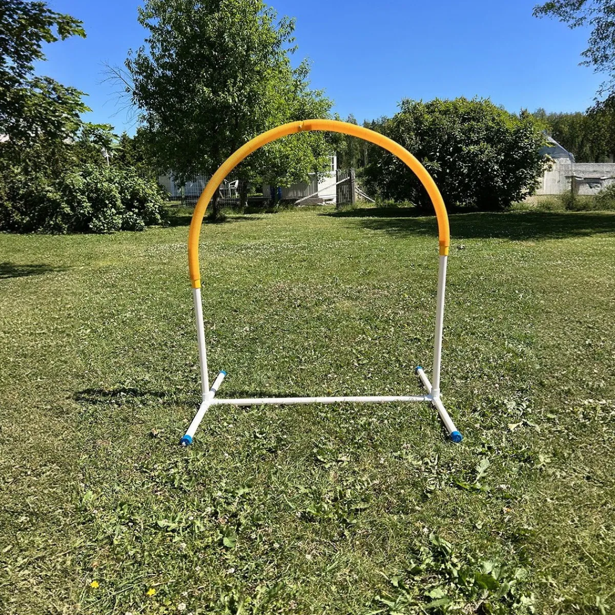 PetEasy Agility|Agility*Hoopers Hoop