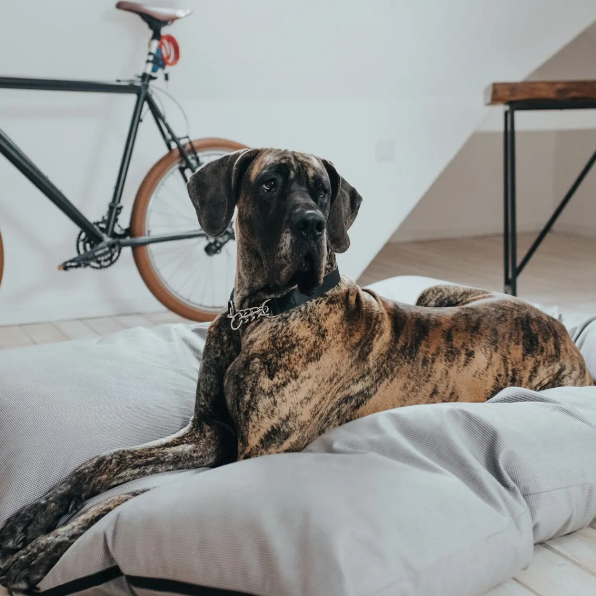 Hunter Koiran Pedit Ja Alustat|Koiran Patjat*Dog Bed Lancaster Grey