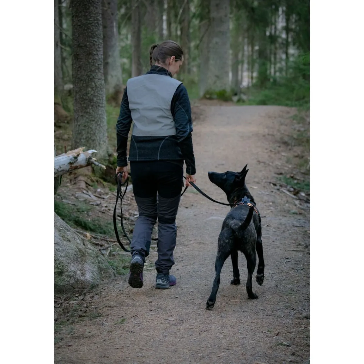 Feel Active Koiran Heijastimet Ja Valot|Koiran Vaatteet*Huomioliivi ihmiselle