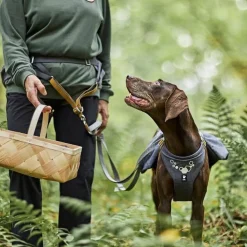 Hurtta Koiran Hihnat Ja Flexit|Retkeily Koiran Kanssa*Expedition ECO -vetovyö, harmaa