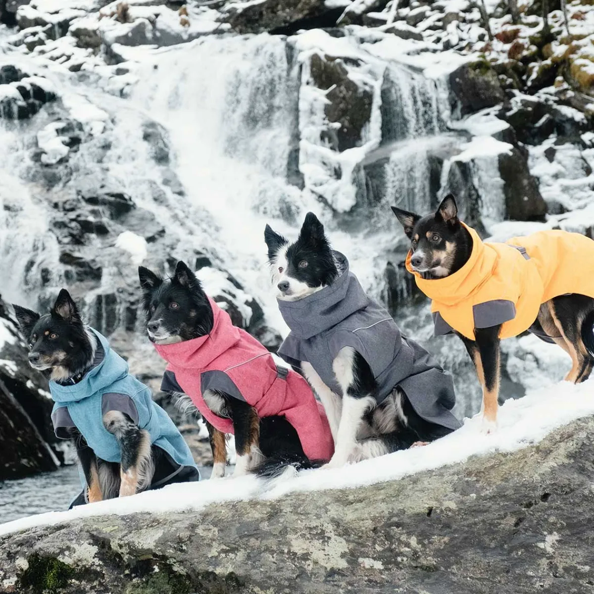 Hurtta Koiran Vaatteet|Koiran Talvitakit*Expedition parka karhunvatukka