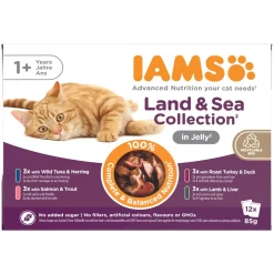 Iams Kissan Märkäruoka*Advanced Nutrition Jelly Liha- ja kalalajitelma 12 x 85 g