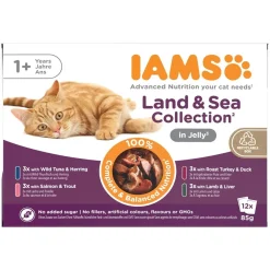 Iams Kissan Märkäruoka*Advanced Nutrition Jelly Liha- ja kalalajitelma 12 x 85 g