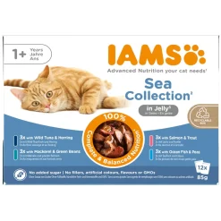 Iams Kissan Märkäruoka*Advanced Nutrition Jelly Kalalajitelma 12 x 85 g