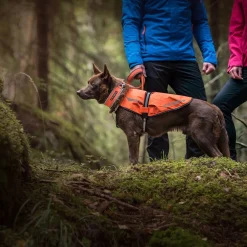 Icepeak Pet Koiran Heijastimet Ja Valot|Koiran Vaatteet*Icepeak Prozone huomioliivi, oranssi