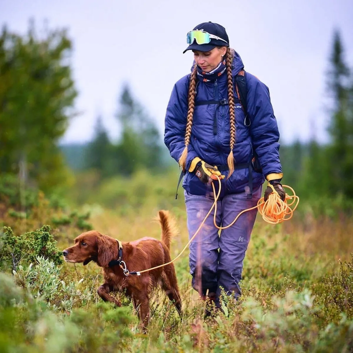 Non-stop dogwear Jälkiliinat|Metsästys Ja Jäljestys*Jälkiliina koiralle Non-Stop Protector round 10 m