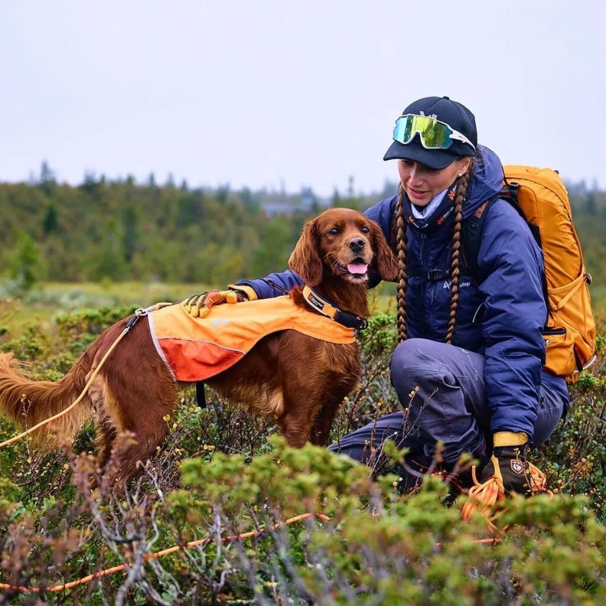 Non-stop dogwear Jälkiliinat|Metsästys Ja Jäljestys*Jälkiliina koiralle Non-Stop Protector round 10 m