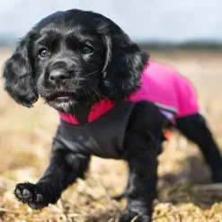 Pomppa Koiran Fleecetakki|Koiran Vaatteet*Jumppa paita, pinkki