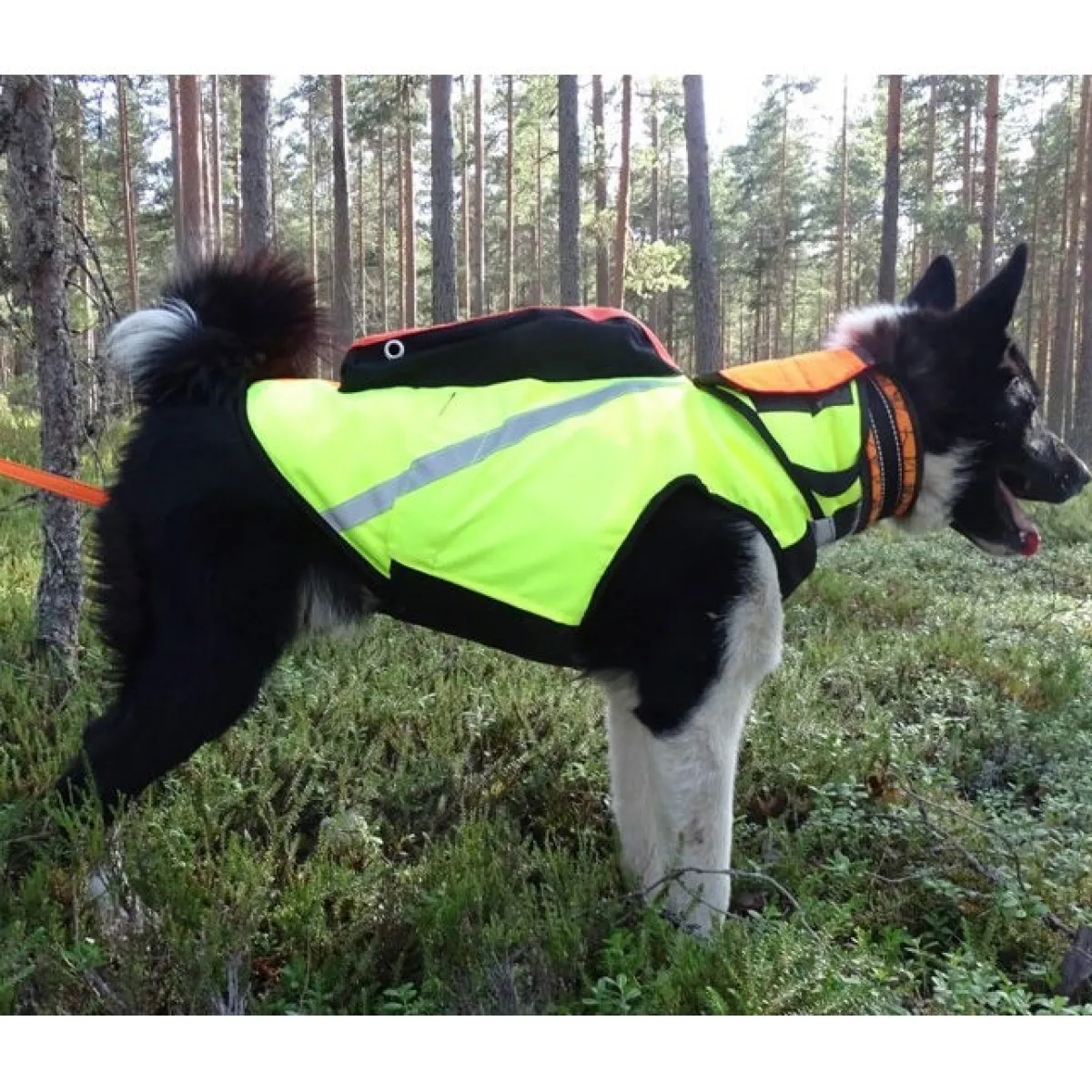Kardog Koiran Vaatteet|Koiran Huomioliivit*Kevlar-liivi koiralle,