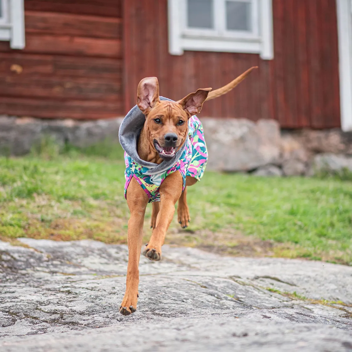 Pomppa Koiran Vaatteet*Kevyt valjasaukolla, Trail