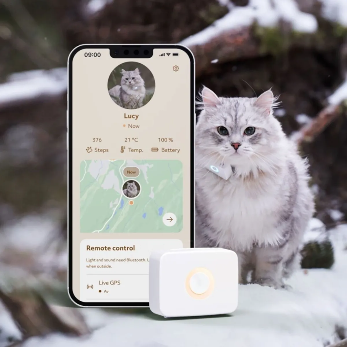 Lilcat Kissan Gps|Lemmikkiteknologia*Kissan GPS